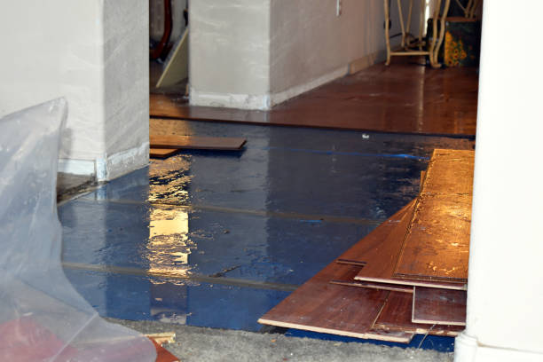 Professional Basement Flood Cleanup technician working in Winthrop, IA